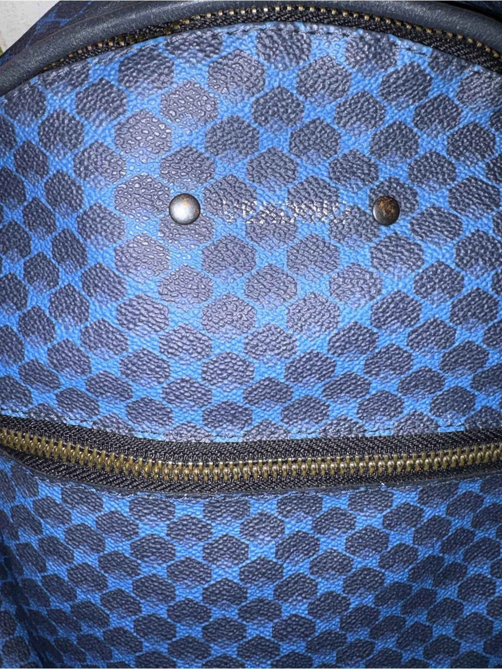 Verona Unisex Blue Patterned Backpack leather